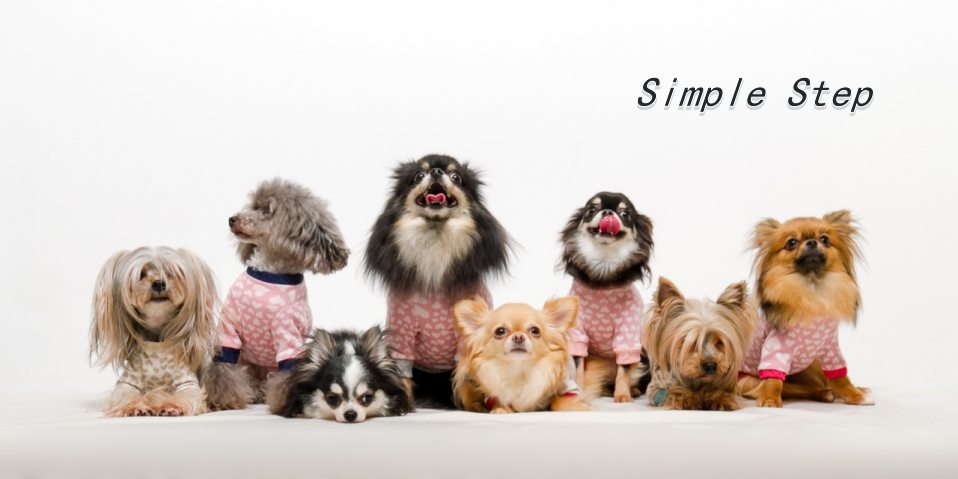 合同会社シンプルステップ